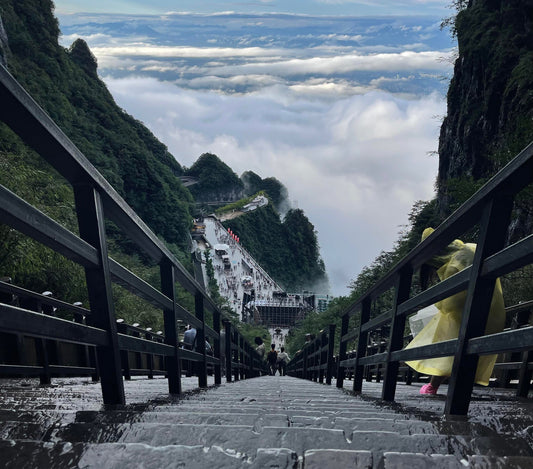 Zhangjiajie National Park Highlights